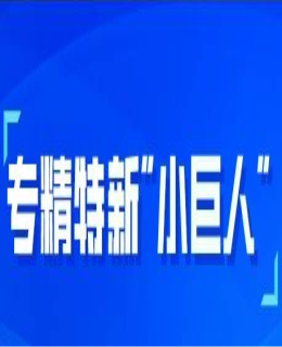 小巨人城市圖譜：解鎖園區(qū)培育新思路，珠三角加速打造專(zhuān)精特新“小巨人”